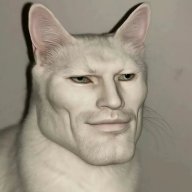 FakeRavil