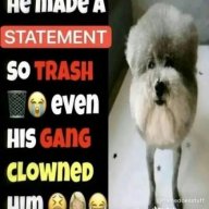 xdxdxdxd