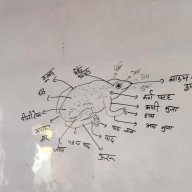kshma00500