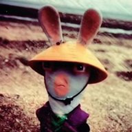 adolfniggler