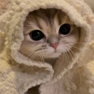 minu