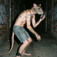 Ratomagro