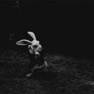 ROB the Rabbit