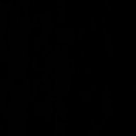 LarpSec