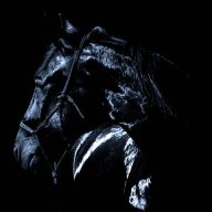 blackhorse101