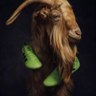 goat2304