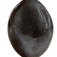riyamathur8890