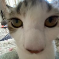 uuuhgtttffdrrii
