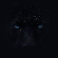 ShadowExec