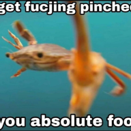 CrabLover999