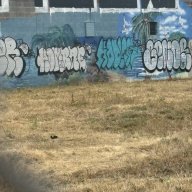 Mikeymo4343