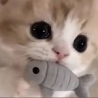 aljamalix