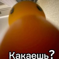 vrphvid