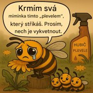 Zdendasoft