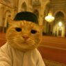 unknown06732