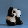 selfishpanda