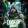337Lookup