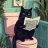 dblackcat